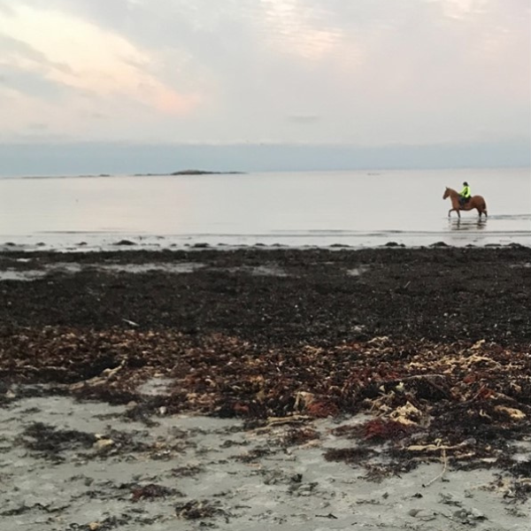 Photo of a beach with the sea in the background and a person on horseback